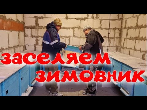 Видео: ЗИМОВНИК ДЛЯ ПЧЕЛ.ОБОРУДОВАНИЕ ЗИМОВНИКА. ПЧЕЛОВОДСТВО С НУЛЯ В НАШЕМ ЗИМОВНИКЕ.
