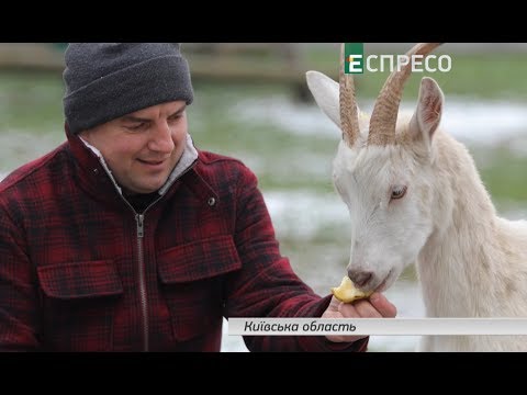 Видео: Успешные в Ураине | ТМ "Бабьи козы"