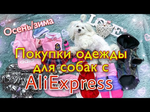 Видео: ALIEXPRESS: ОДЕЖДА ДЛЯ СОБАК НА ОСЕНЬ/ЗИМУ.