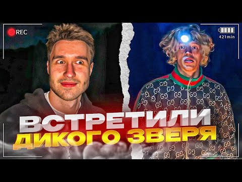 Видео: ВСТРЕТИЛИ ДИКОГО ЗВЕРЯ В ЛЕСУ! | УГАРНАЯ НОЧЬ В ДОМЕ НА КОЛЁСАХ
