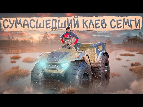 Видео: ПОЙМАЛИ ОГРОМНУЮ СЕМГУ!!!#рыбалка #охота #тайга