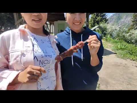 Видео: САРЫ ЧЕЛЕКЕ САЯКАТ/"ОН ЖЫЛДЫК 2023" долбоору!