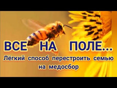 Видео: УБРАЛ МАТКУ ПЕРЕД ОСНОВНЫМ ВЗЯТКОМ. РЕЗУЛЬТАТ.