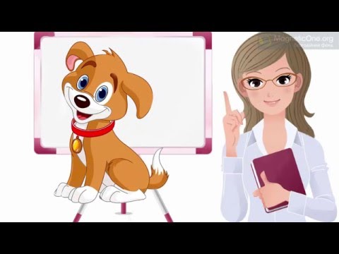 Видео: Урок 3 Англійська мова 1 клас. My school. Частина 3