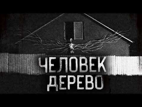 Видео: Страшные истории на ночь - Человек дерево! Страшилки на ночь.