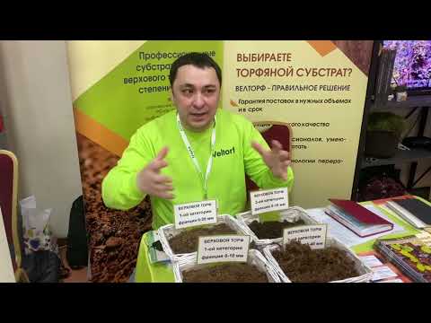 Видео: Верховой торф. Что это и зачем?