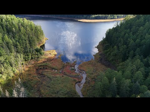 Видео: ТАЛАКАН такой красоты мы ещё не видели
