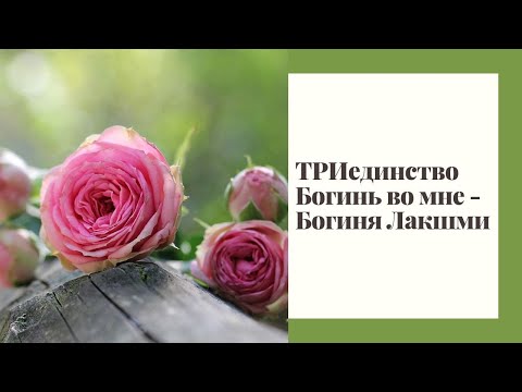 Видео: ТРИединство Богинь во мне -  Богиня Лакшми