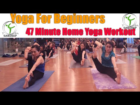 Видео: Лучшая йога для начинающих — 47-минутная домашняя тренировка | Йога с Сандипом | Вьетнам