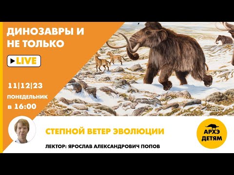 Видео: Занятие "Степной ветер эволюции" кружка "Динозавры и не только" с Ярославом Поповым