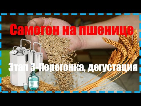 Видео: Пшеничный самогон белая схема- Этап 3- Перегон и дегустация