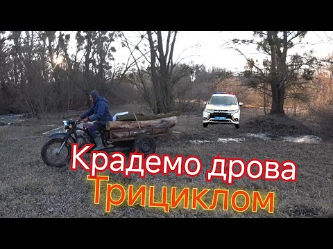 Видео: Заготівля ДРОВ для бані🪵