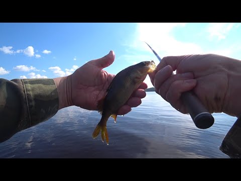 Видео: Тенкара на озере.