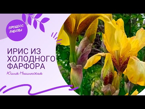 Видео: Процесс работы. Желтый Ирис из холодного фарфора