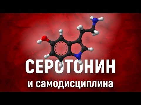 Видео: Как серотонин влияет на САМОДИСЦИПЛИНУ. Химия силы воли