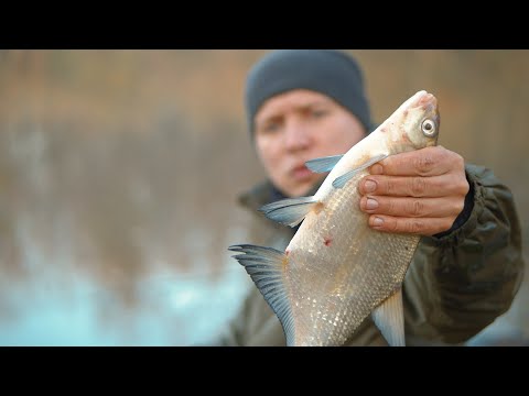 Видео: Ловля леща поздней осенью. Водоём Княжа долына(Червоный прапор).