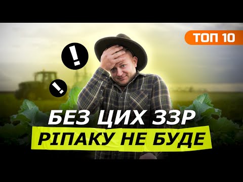 Видео: ТОП 10 🌟ПРЕПАРАТІВ НА РІПАК | ВИРОЩУВАННЯ РІПАКУ НЕ МОЖЛИВЕ БЕЗ ЦИХ ЗЗР!