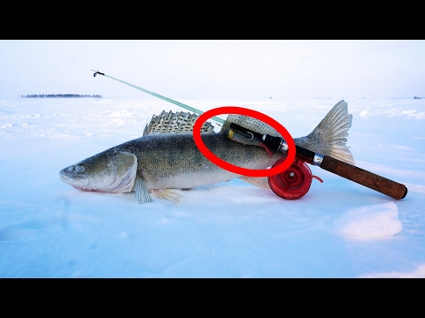 Видео: Ловля судака со льда на силикон.  Зимняя рыбалка на водохранилище 2017.