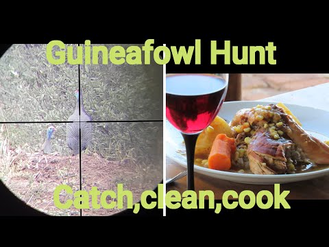 Видео: Цесарка {{{Catch Clean Cook}}} FX-Streamline