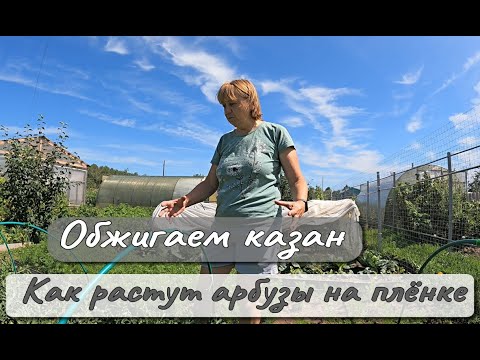 Видео: ОБЖИГАЕМ КАЗАН  КАК РАСТУТ АРБУЗЫ НА ПЛЁНКЕ