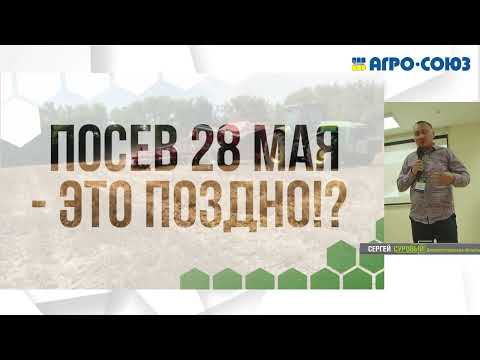 Видео: Суровый No-Till у Сурового: подсолнечник, ячмень, лен. Как НЕ НУЖНО делать