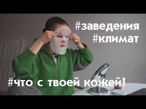 Видео: Плюсы и минусы жизни в Петербурге | покупки, кофейни, Эрмитаж
