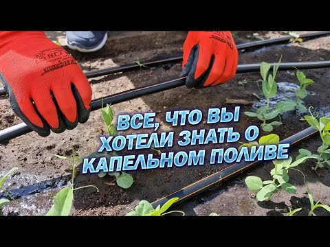 Видео: ВСЁ, ЧТО ВЫ ХОТЕЛИ ЗНАТЬ О КАПЕЛЬНОМ ПОЛИВЕ!