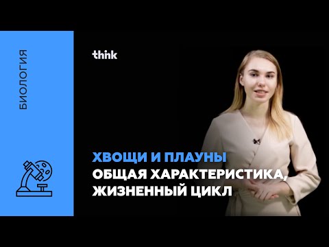 Видео: Хвощи и плауны.  Общая характеристика, жизненный цикл | Биология