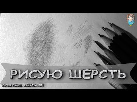 Видео: Как я рисую шерсть карандашом в реальном времени. / Как нарисовать шерсть животного.