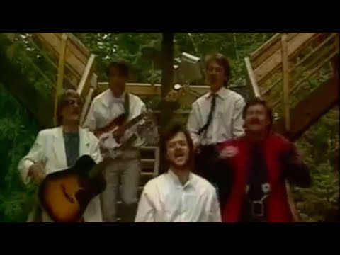 Видео: Песняры. Дзяўчынка, галубка мая