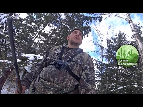 Видео: Одностволка в охоте на рябчика. ИЖ-18Е. Отцовское ружье работает. Заяц меня облапошил.