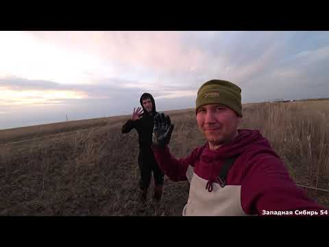 Видео: Штормовой ветер. А мы ловим крупных карасей на паук подъёмник.