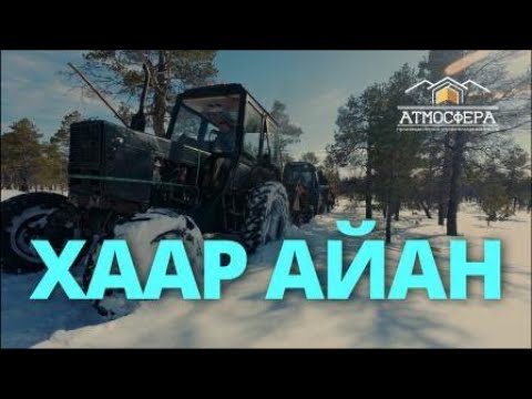 Видео: АНЫГЫ ҮҮТЭЭН - ХААР АЙАН 4 СЕРИЯ