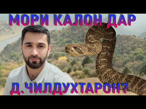 Видео: ЧИЛДУТАРОН ЧАРО ИН ҚАДАР ЗЕБОСТ? 🌿 Саёҳат дар дили ноҳияи Мӯъминобод. (Khurshed_Olmon)