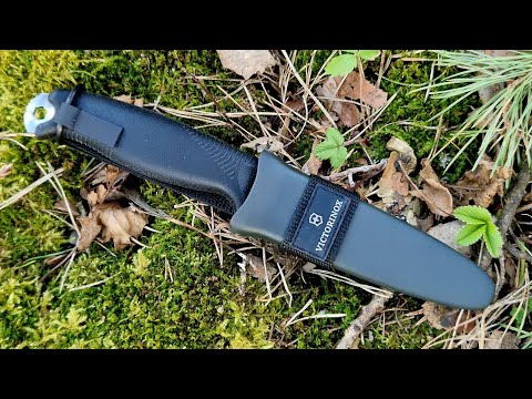 Видео: ШВЕЙЦАРСКАЯ МОРА?! Нож VENTURE Victorinox