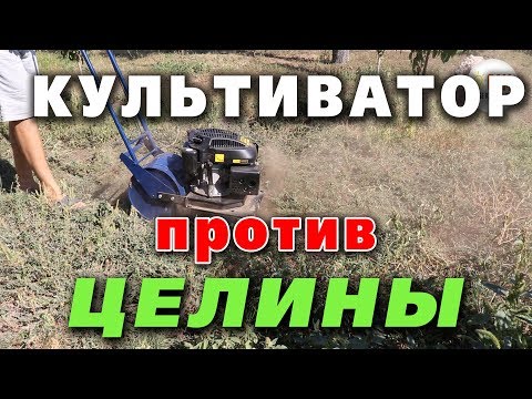 Видео: Лоплош культиватор против целины! Реальный отзыв