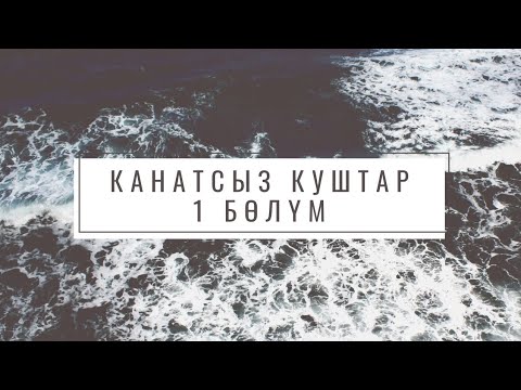 Видео: Канатсыз куштар. Автор Жалгызым Назик.Аңгеме. 1 бөлүм.