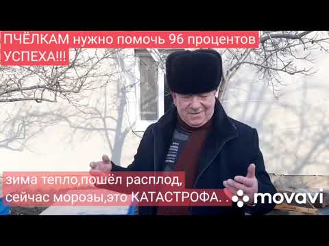Видео: 96% успешной зимовки