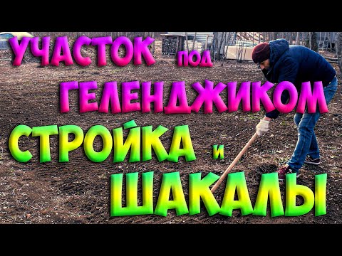 Видео: ▶ Участок под Геленджиком ✔ Стройка и шакалы