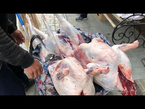 Видео: Вся правда про тандыр гушт приготовленный в горах! Баранина в тандыре! Узбекистан! Самарканд!