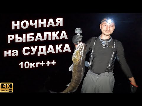 Видео: НОЧНАЯ РЫБАЛКА НА СУДАКА
