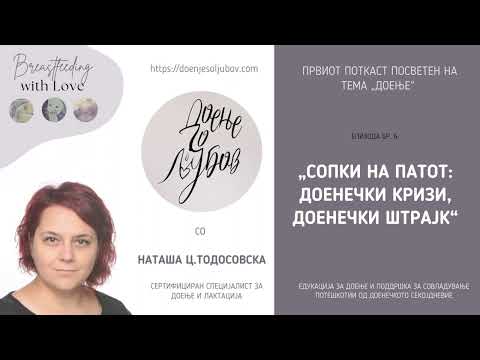 Видео: Е6: „Сопки на патот: доенечки кризи, доенечки штрајк...“
