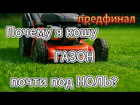 Видео: Косим низко — секрет плотного и густого газона. Предфинал.  #газон #уходзагазоном #газонокосилка