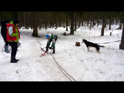 Видео: Техника лыжного туризма 2017 (ККК-6)