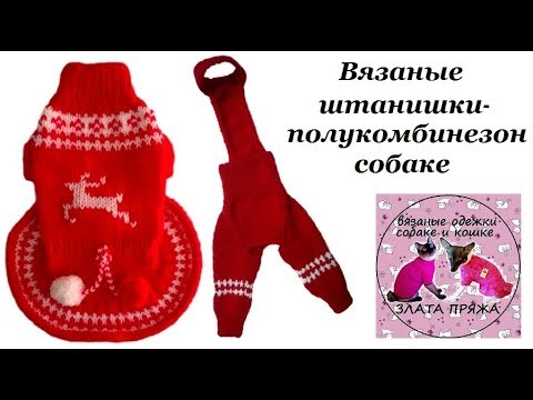 Видео: 18. Штанишки -полукомбинезон собаке