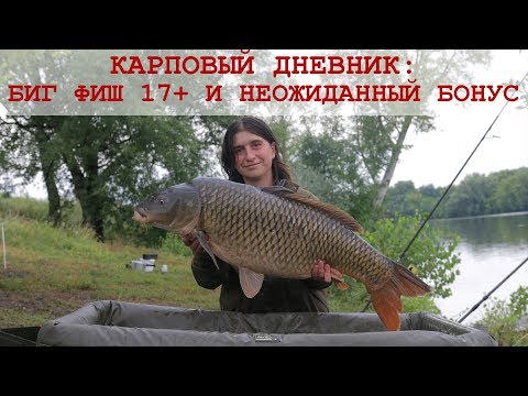 Видео: Секреты рыбалки на карпа: выбор места, насадка, прикормка, готовим тигровый орех. Видеодневник #2