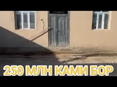 Видео: 250 МЛН КАМИ БОР #ТУРТКУЛ #УЙЖОЙ