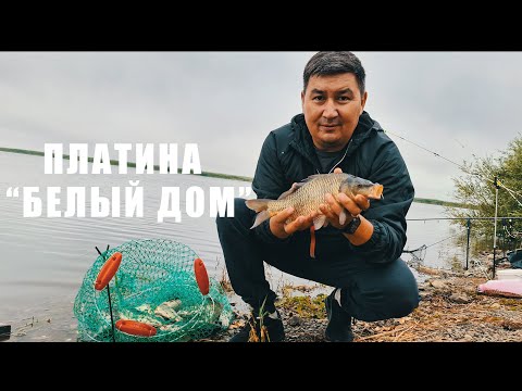 Видео: Плотина "БЕЛЫЙ ДОМ" жор карася 30.07.2022