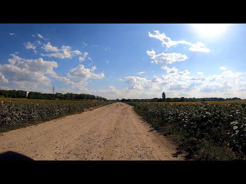 Видео: Вело прогулка вдоль реки Днестр от села Суклея до города Тирасполь