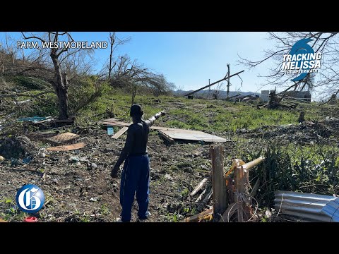 Видео: Ураган Мелисса: Последствия | «Мелисса забрала у нас „Пунси“»